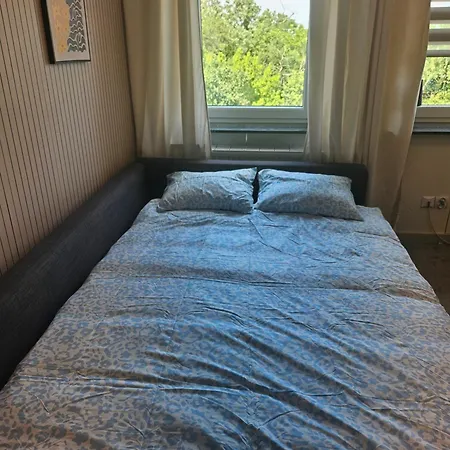 Business 28 Διαμέρισμα Μπίντγκοστς