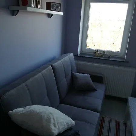 Apartment Business 28